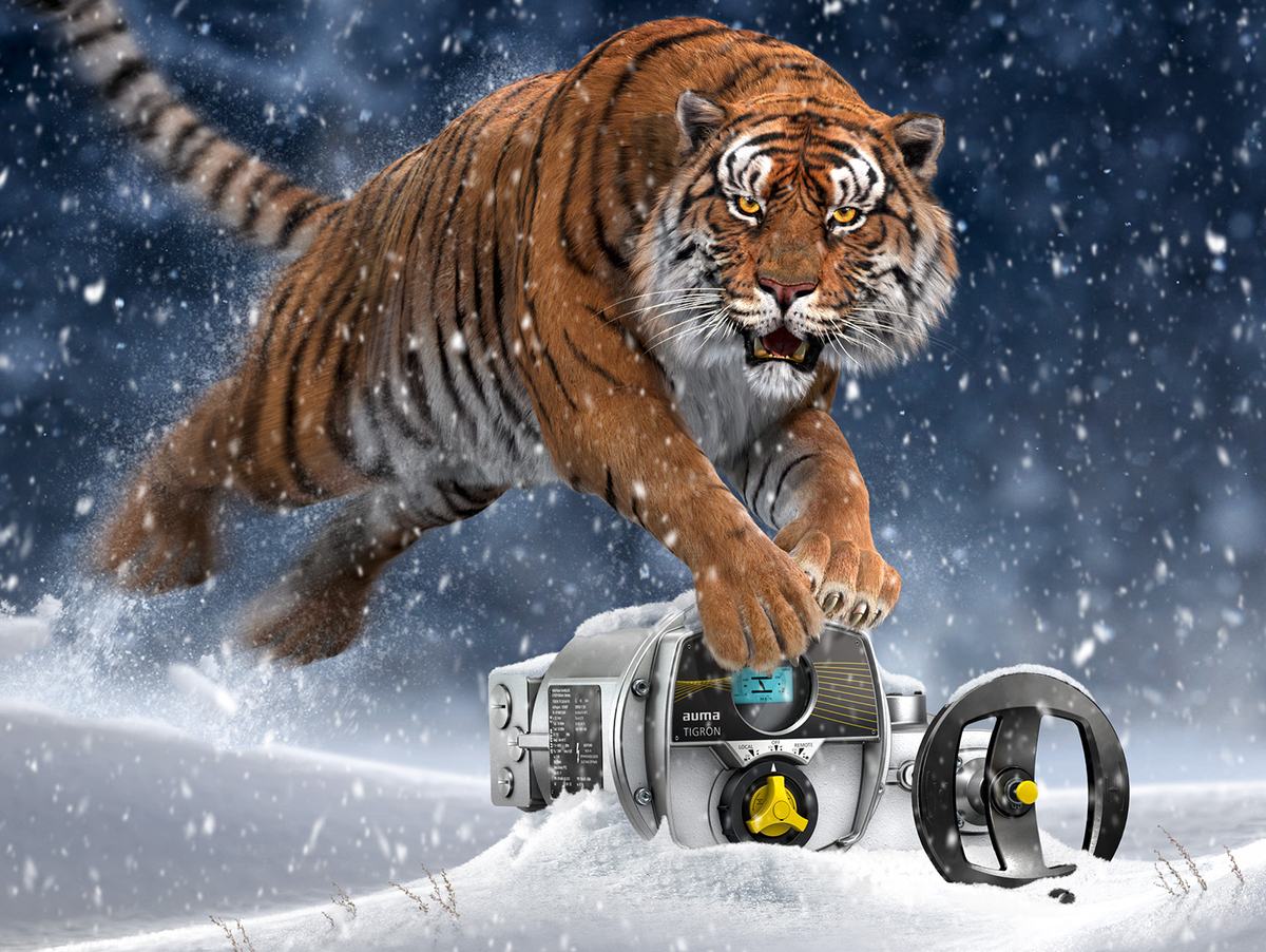 SA 10.2 UW - AC 01.2 SD AUF WANDHALTER DS - ELEKTRO - STEUERUNG AUF WANDHALTER 